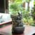 Indoor Fountain 4-Bowl Rockery Soothing Sound Tabletop Fountains Home/Office Decor Gift for Mom,Mother Day Present with A Small Plastic Pot to Grow Plant/Hebs by Yourself (Automatic Watering)