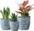 Terracotta Plant Pots,6.5+5+4.4 Inch Plant Pots Indoor with Drainage Hole- Floral Pattern,Blue Ceramic Planters for Indoor Plants,Boho decorative Flower Pots for Succulents,Herbs Plants,Set of 3
