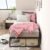 ZINUS Lorelai 12 Inch Metal Platform Bed Frame / Mattress Foundation with Steel Slat Support / No Box Spring Needed / Easy Assembly, Twin, Black